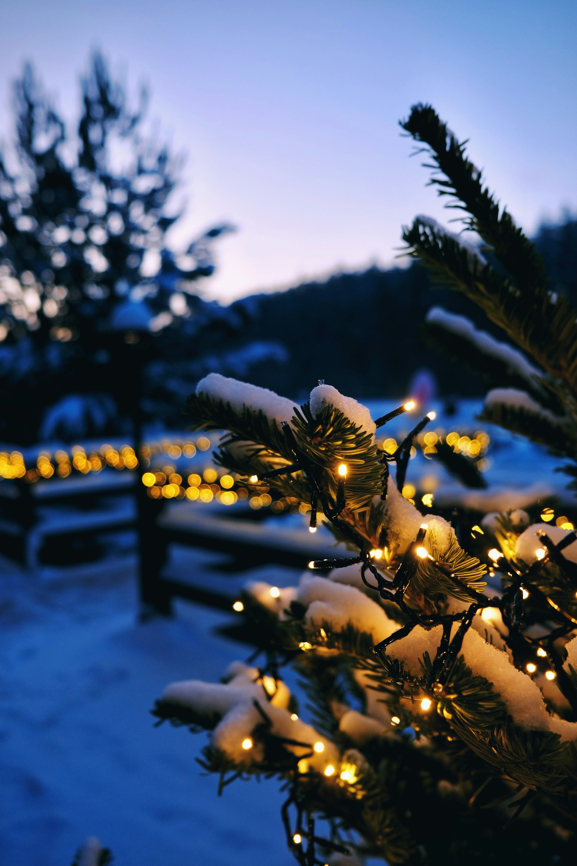 Join Us for Our Annual Winter Benefit Gala